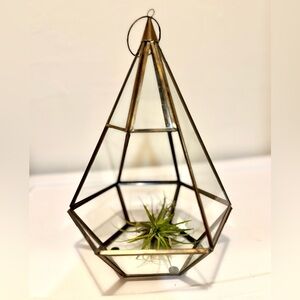 West Elm (discont’d) Gold Brass Geometric Hanging Glass Terrarium /Lantern!